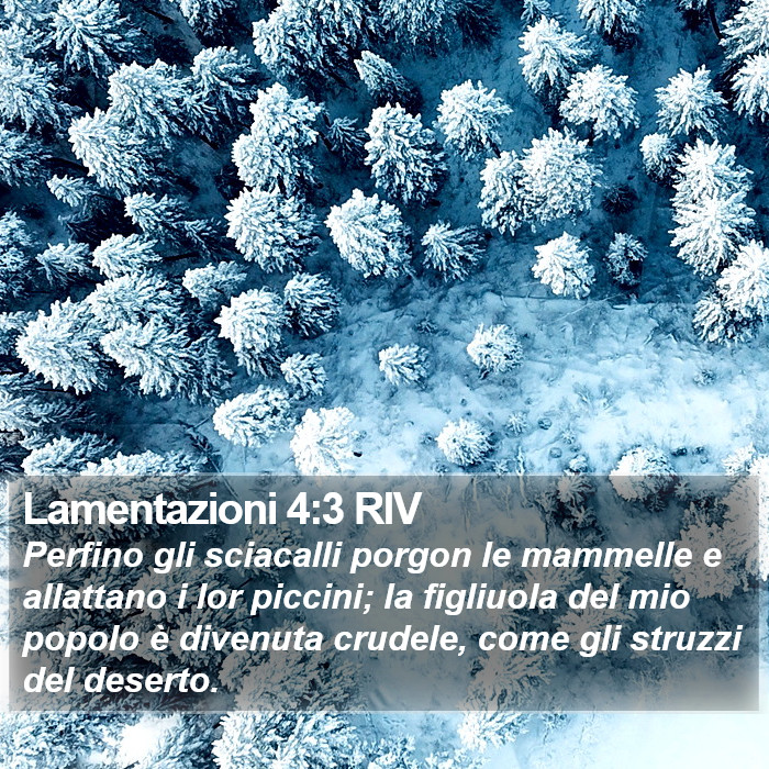 Lamentazioni 4:3 RIV Bible Study