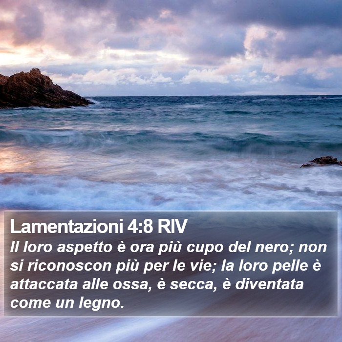 Lamentazioni 4:8 RIV Bible Study