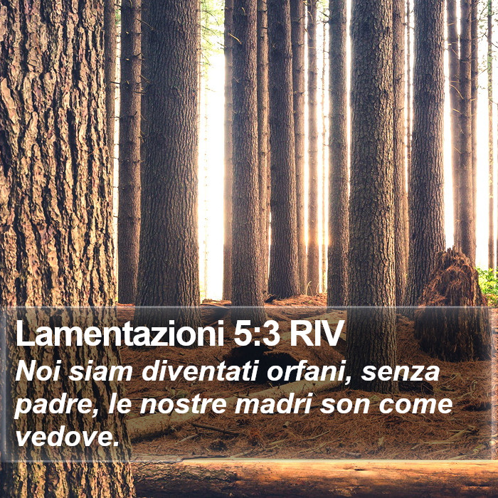 Lamentazioni 5:3 RIV Bible Study