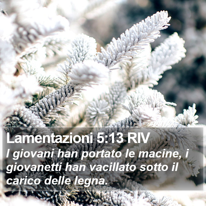 Lamentazioni 5:13 RIV Bible Study