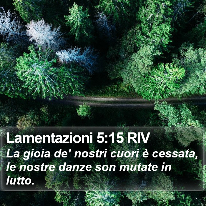 Lamentazioni 5:15 RIV Bible Study