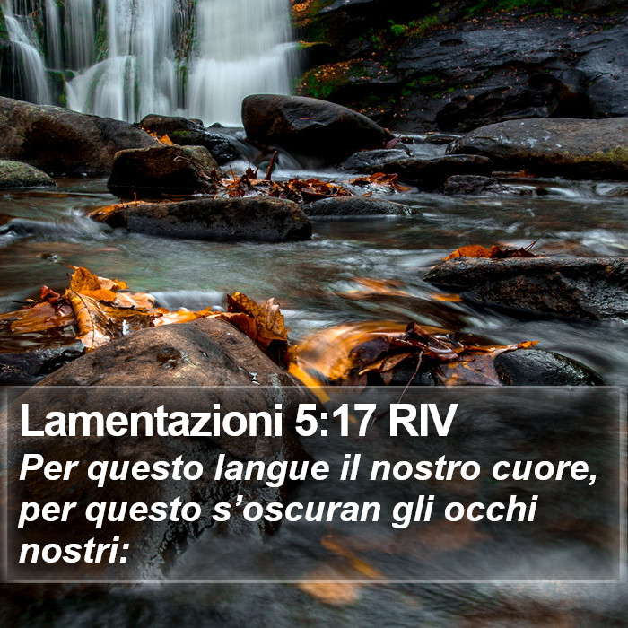 Lamentazioni 5:17 RIV Bible Study