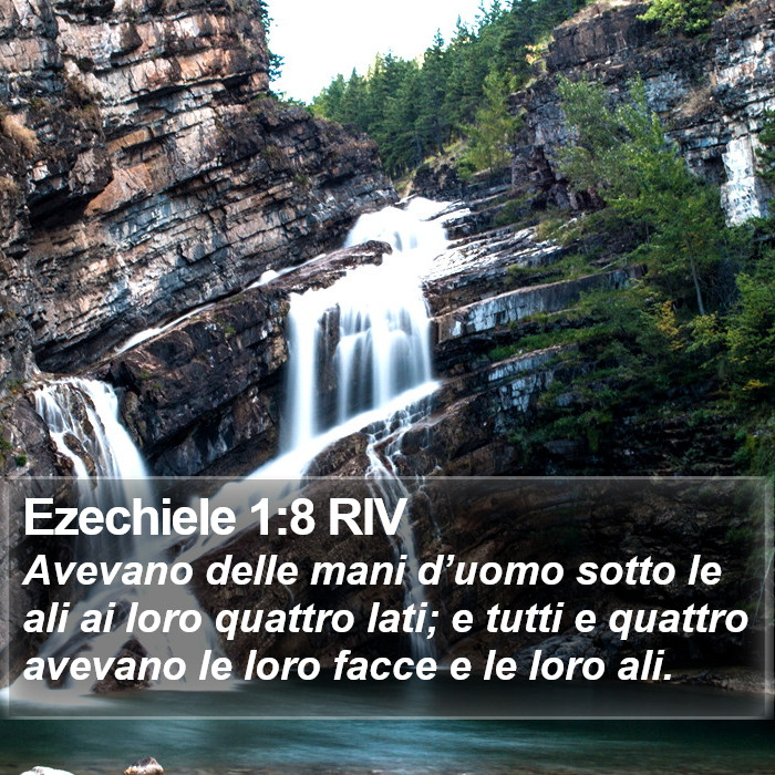 Ezechiele 1:8 RIV Bible Study