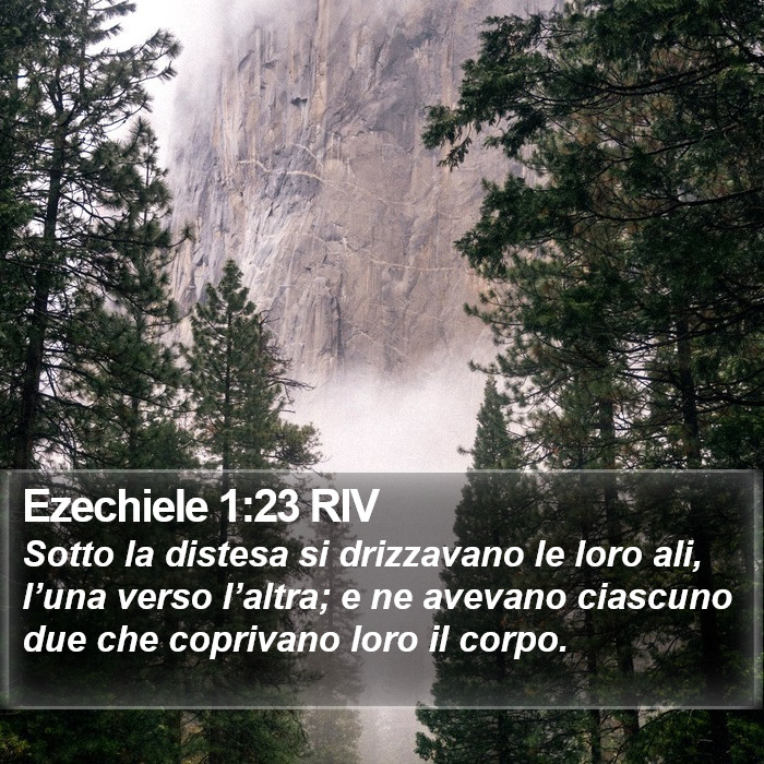 Ezechiele 1:23 RIV Bible Study