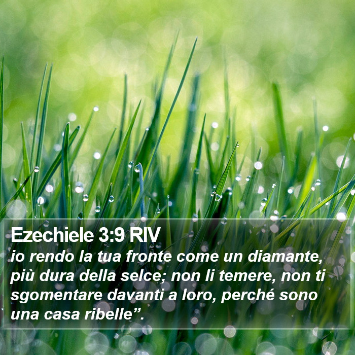 Ezechiele 3:9 RIV Bible Study