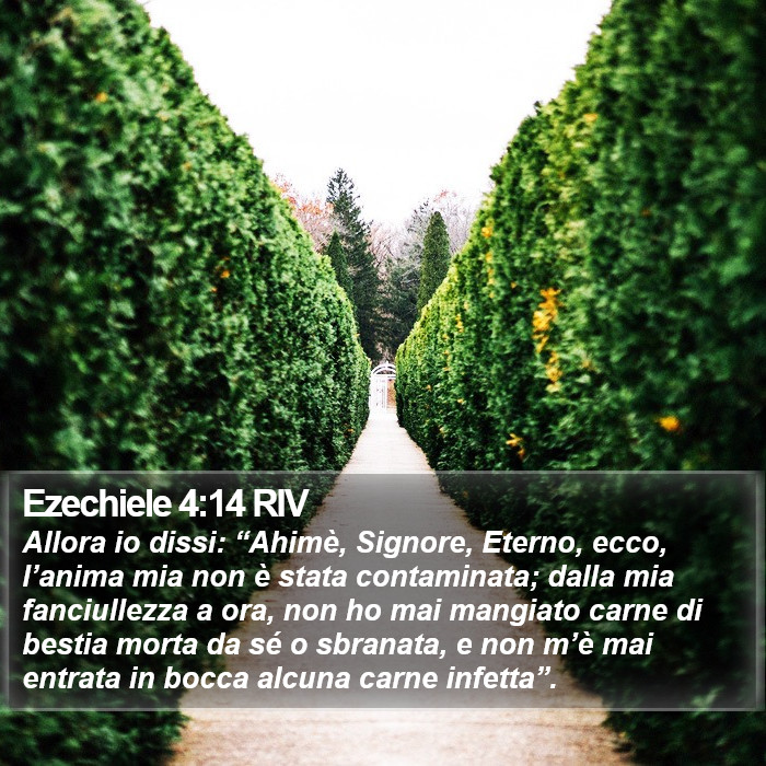 Ezechiele 4:14 RIV Bible Study