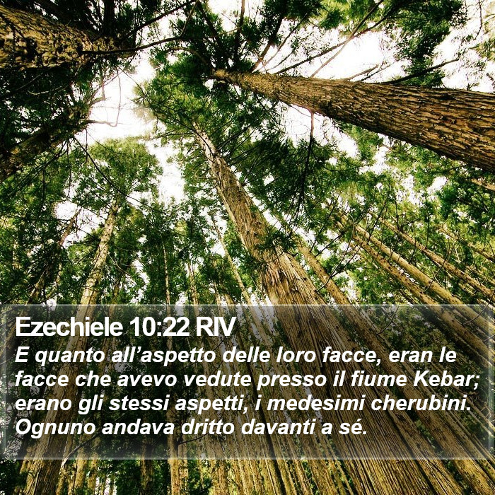 Ezechiele 10:22 RIV Bible Study