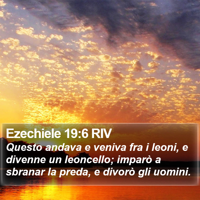 Ezechiele 19:6 RIV Bible Study