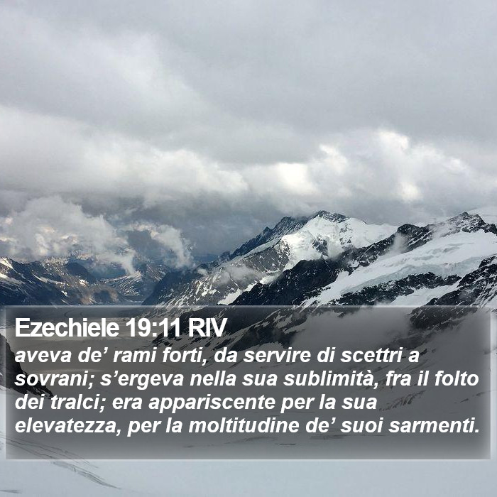 Ezechiele 19:11 RIV Bible Study