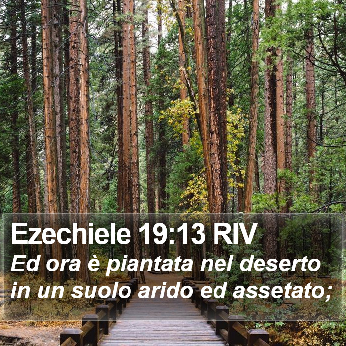 Ezechiele 19:13 RIV Bible Study