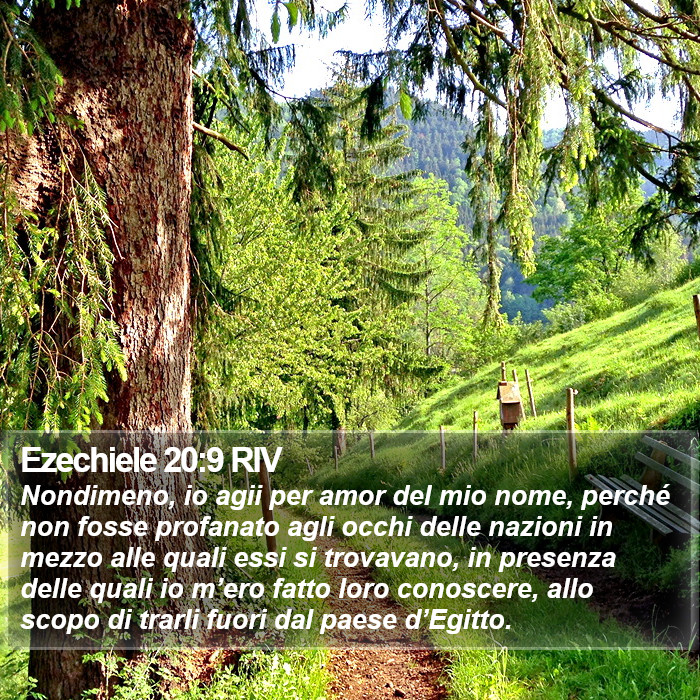Ezechiele 20:9 RIV Bible Study