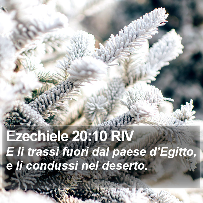 Ezechiele 20:10 RIV Bible Study