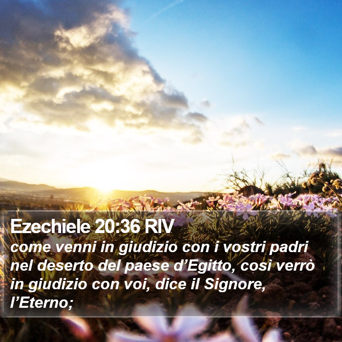 Ezechiele 20:36 RIV Bible Study