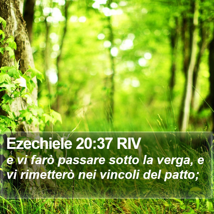 Ezechiele 20:37 RIV Bible Study