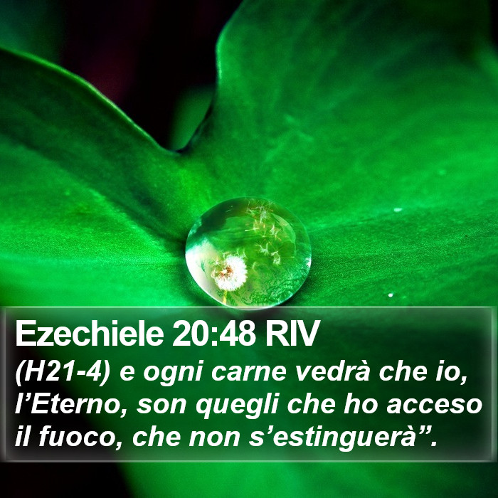 Ezechiele 20:48 RIV Bible Study