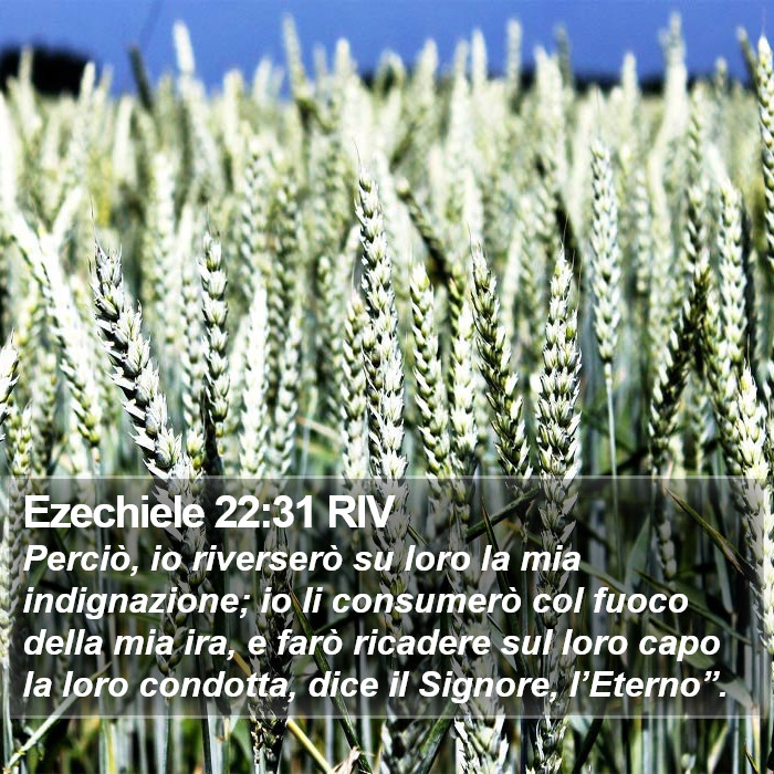 Ezechiele 22:31 RIV Bible Study