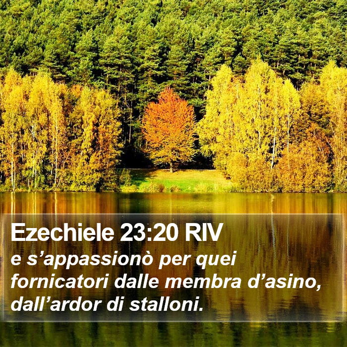 Ezechiele 23:20 RIV Bible Study