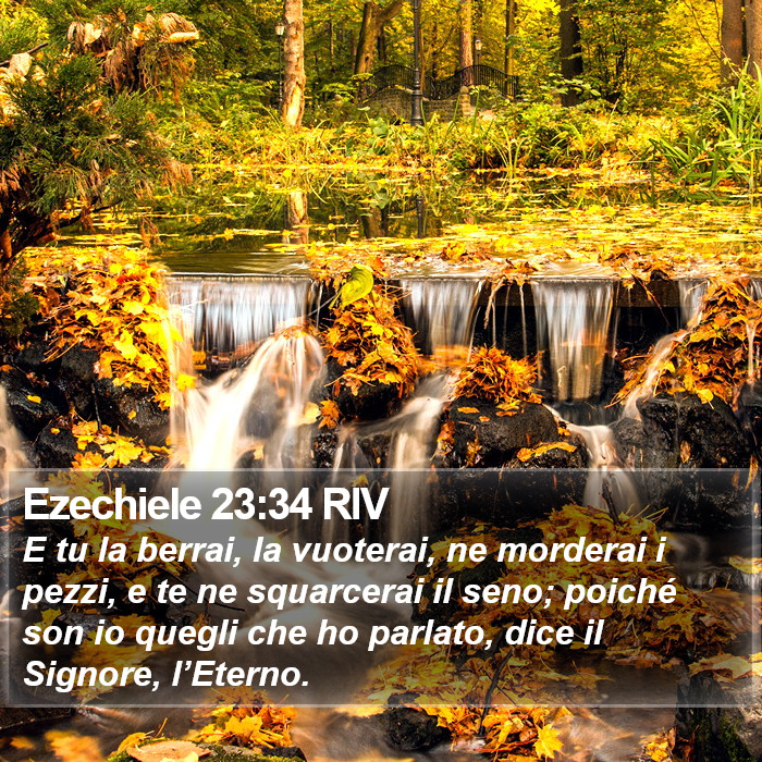 Ezechiele 23:34 RIV Bible Study