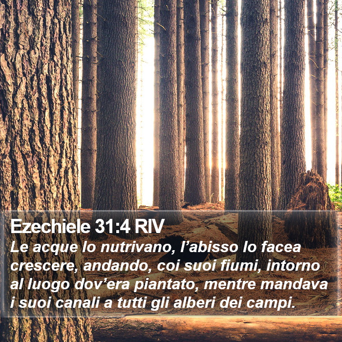 Ezechiele 31:4 RIV Bible Study