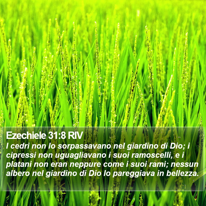 Ezechiele 31:8 RIV Bible Study