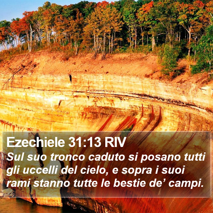 Ezechiele 31:13 RIV Bible Study