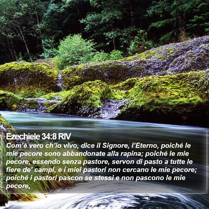 Ezechiele 34:8 RIV Bible Study