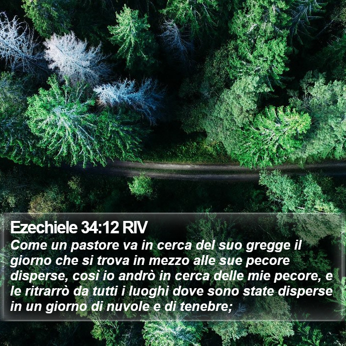 Ezechiele 34:12 RIV Bible Study
