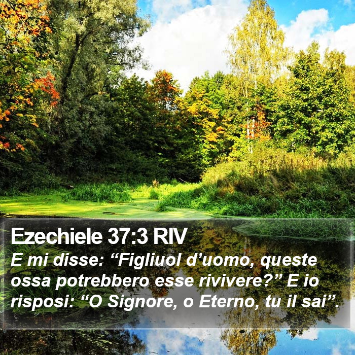 Ezechiele 37:3 RIV Bible Study