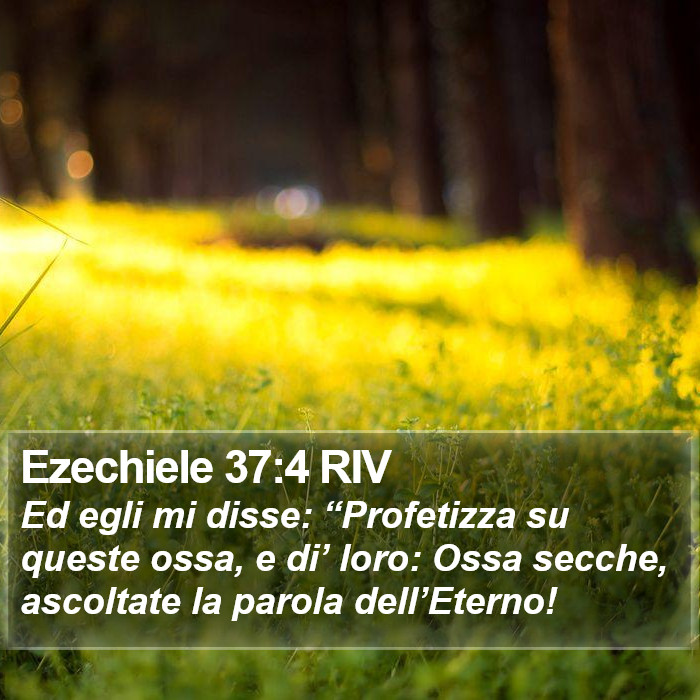 Ezechiele 37:4 RIV Bible Study