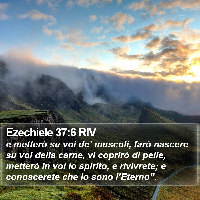 Ezechiele 37:6 RIV Bible Study