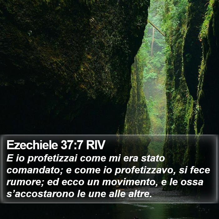 Ezechiele 37:7 RIV Bible Study