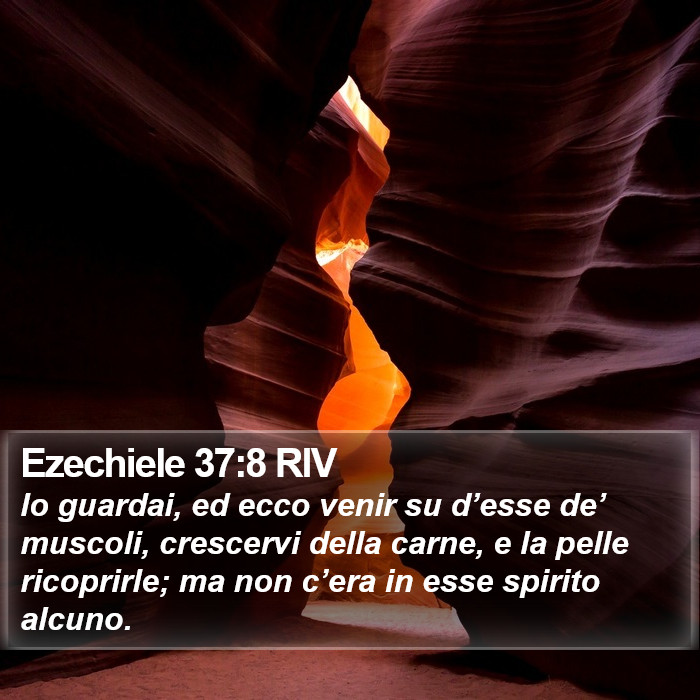 Ezechiele 37:8 RIV Bible Study