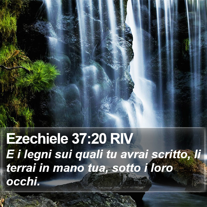 Ezechiele 37:20 RIV Bible Study