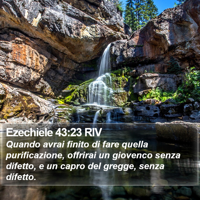 Ezechiele 43:23 RIV Bible Study
