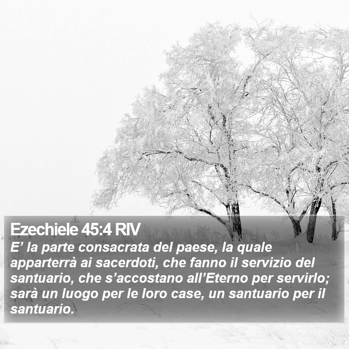 Ezechiele 45:4 RIV Bible Study