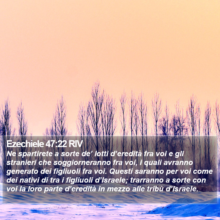 Ezechiele 47:22 RIV Bible Study