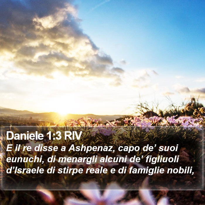 Daniele 1:3 RIV Bible Study