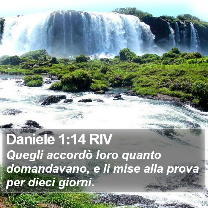 Daniele 1:14 RIV Bible Study