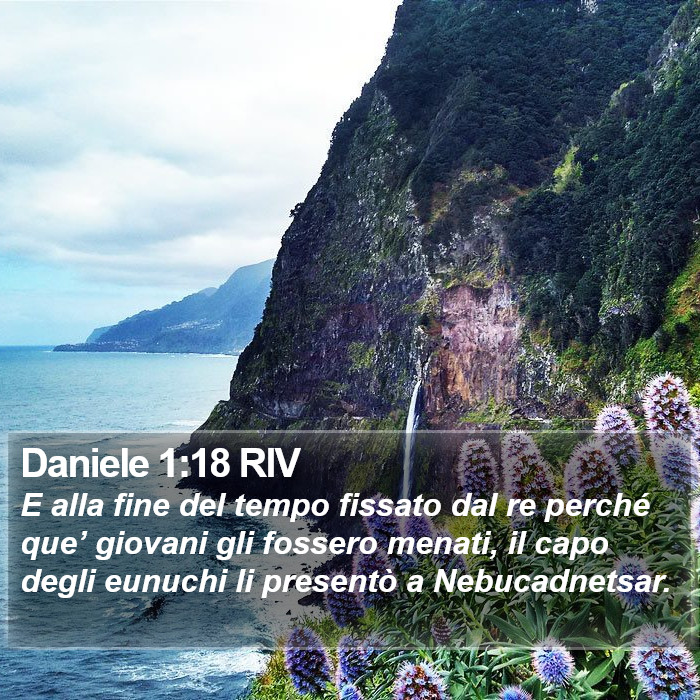 Daniele 1:18 RIV Bible Study