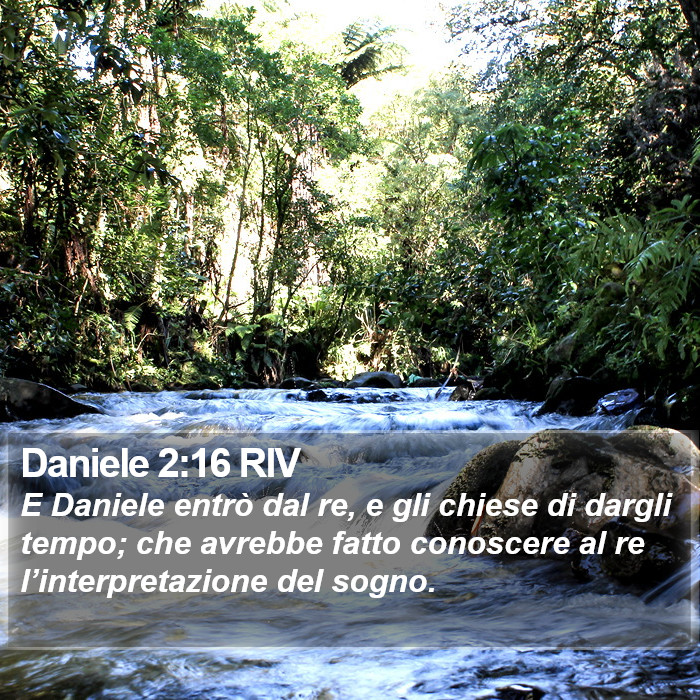 Daniele 2:16 RIV Bible Study