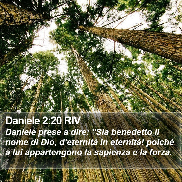 Daniele 2:20 RIV Bible Study