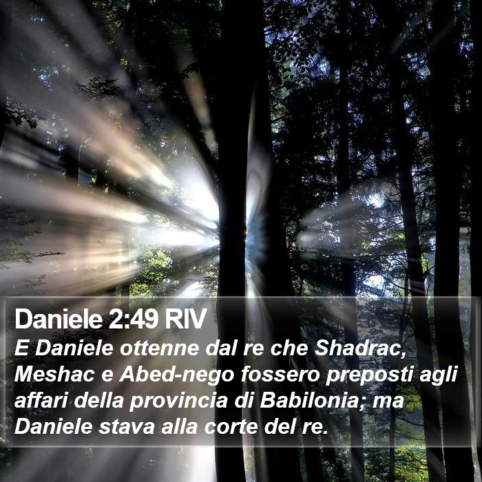 Daniele 2:49 RIV Bible Study