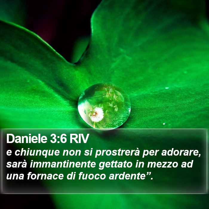 Daniele 3:6 RIV Bible Study