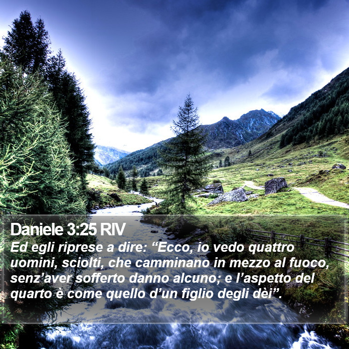 Daniele 3:25 RIV Bible Study