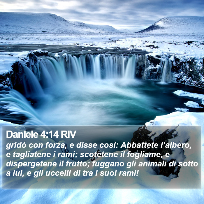 Daniele 4:14 RIV Bible Study
