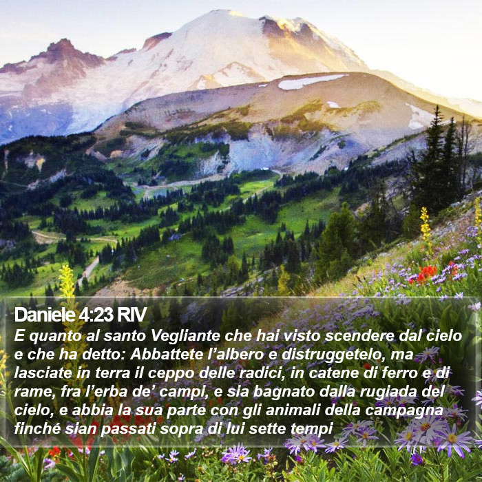 Daniele 4:23 RIV Bible Study