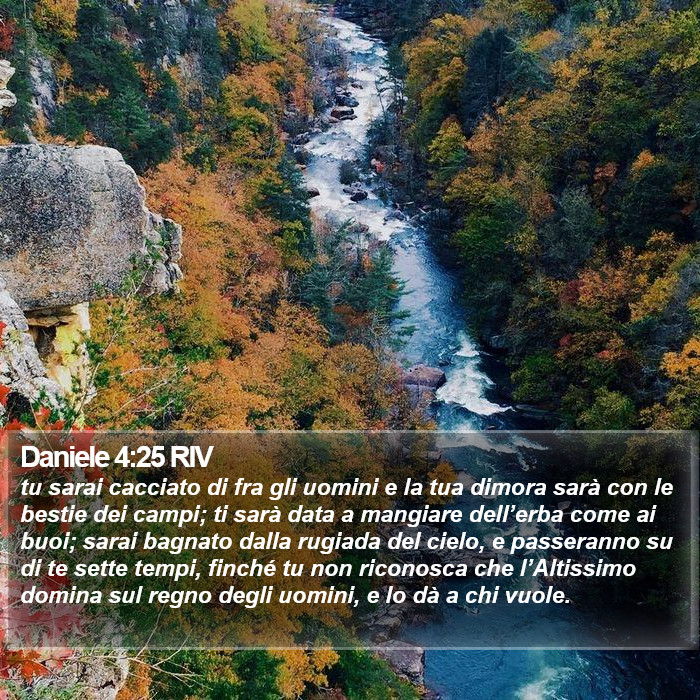 Daniele 4:25 RIV Bible Study