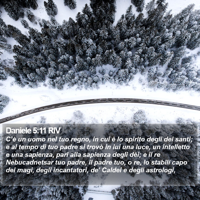 Daniele 5:11 RIV Bible Study