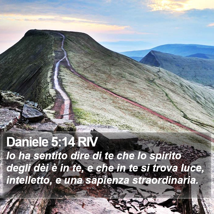 Daniele 5:14 RIV Bible Study