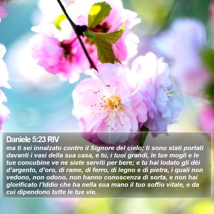 Daniele 5:23 RIV Bible Study